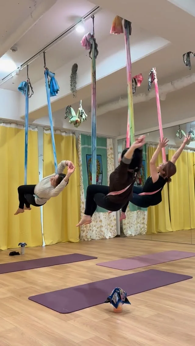 有子インストラクターのエアリアル中級クラス
本日よりスタートしました☺️

しっかり伸びて気持ちよいですよ！

ご参加お待ちしてます🤲

#ヨガ #エアリアルヨガ #東戸塚 #戸塚 #ハンモック